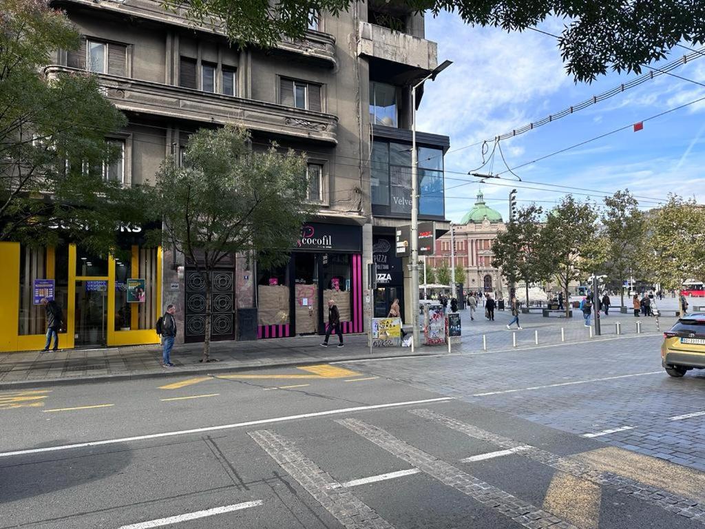 Sofie - Free Parking Place In The Garage Belgrad Exterior foto